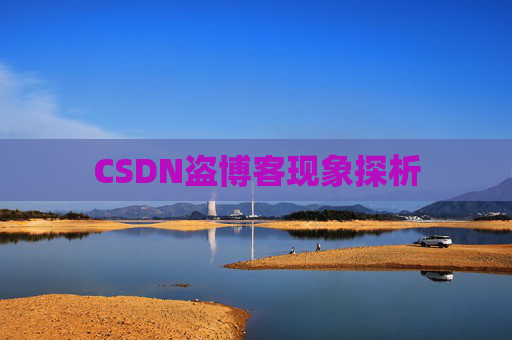 CSDN盗博客现象探析